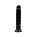 Suction Cup