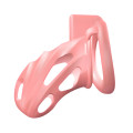 Chastity Devices